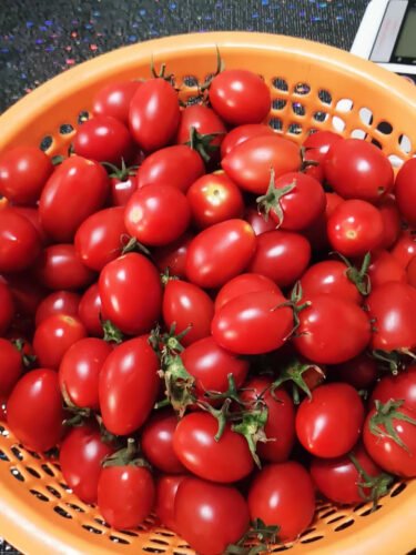 Tomatoes photo review