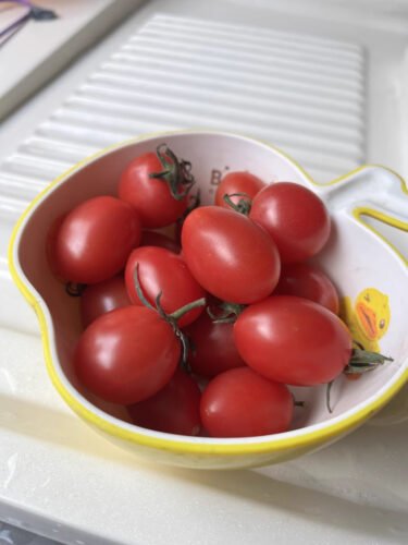 Tomatoes photo review